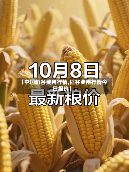 【中国稻谷费用行情,稻谷费用行情今日报价】-第2张图片