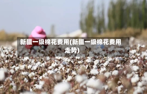 新疆一级棉花费用(新疆一级棉花费用走势)-第3张图片