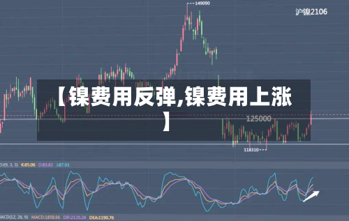 【镍费用反弹,镍费用上涨】-第2张图片
