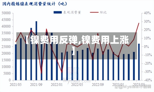 【镍费用反弹,镍费用上涨】-第3张图片