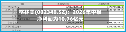 格林美(002340.SZ):2026年中报净利润为10.76亿元-第1张图片