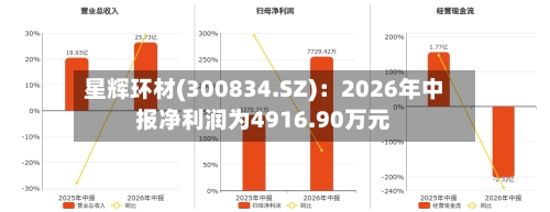 星辉环材(300834.SZ)：2026年中报净利润为4916.90万元