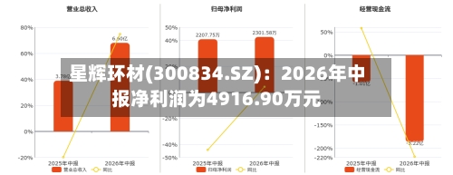 星辉环材(300834.SZ):2026年中报净利润为4916.90万元-第2张图片