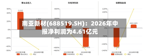 南亚新材(688519.SH):2026年中报净利润为4.61亿元-第2张图片