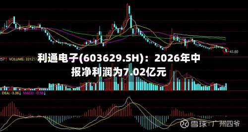 利通电子(603629.SH):2026年中报净利润为7.02亿元-第3张图片