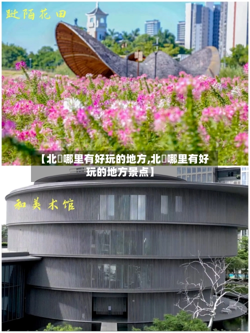 【北滘哪里有好玩的地方,北滘哪里有好玩的地方景点】