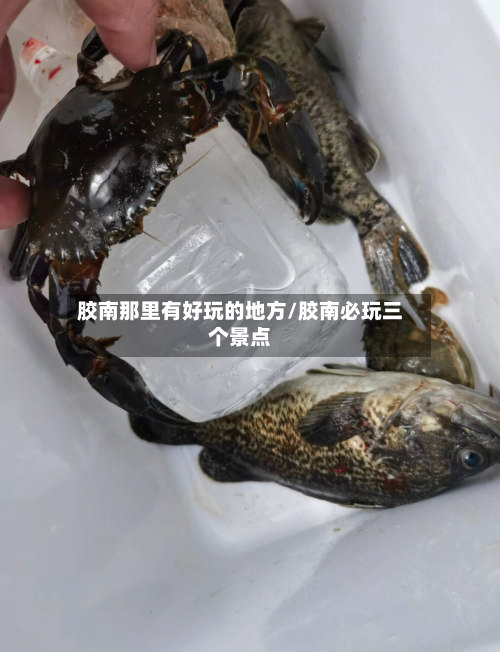 胶南那里有好玩的地方/胶南必玩三个景点-第2张图片