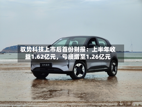 驭势科技上市后首份财报：上半年收益1.62亿元，亏损增至1.26亿元-第2张图片