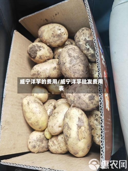 威宁洋芋的费用/威宁洋芋批发费用表