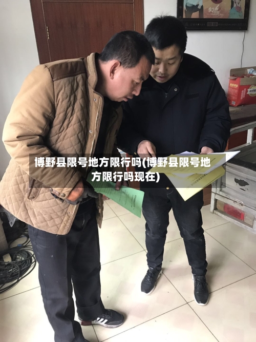 博野县限号地方限行吗(博野县限号地方限行吗现在)-第2张图片