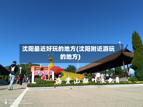 沈阳最近好玩的地方(沈阳附近游玩的地方)