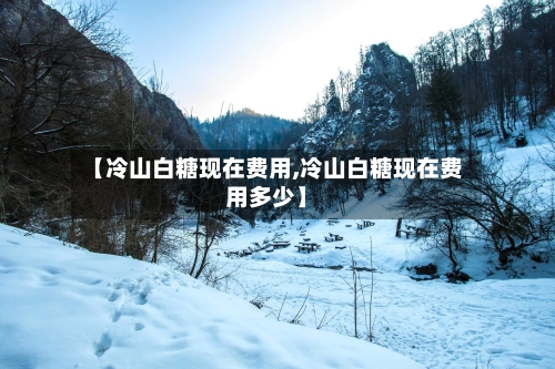【冷山白糖现在费用,冷山白糖现在费用多少】