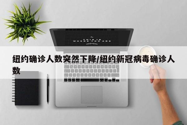 纽约确诊人数突然下降/纽约新冠病毒确诊人数