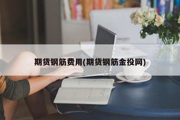 期货钢筋费用(期货钢筋金投网)