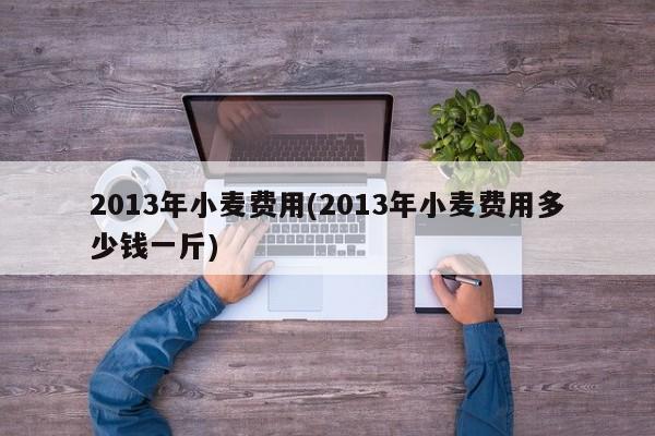 2013年小麦费用(2013年小麦费用多少钱一斤)