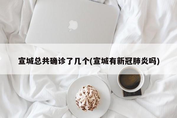 宣城总共确诊了几个(宣城有新冠肺炎吗)