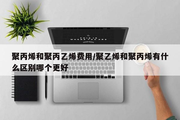 聚丙烯和聚丙乙烯费用/聚乙烯和聚丙烯有什么区别哪个更好