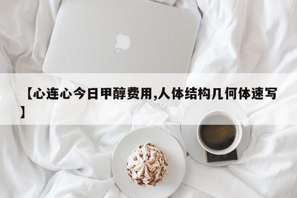 【心连心今日甲醇费用,人体结构几何体速写】