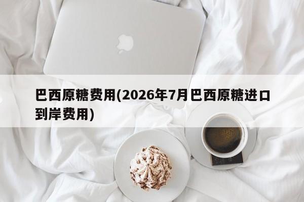 巴西原糖费用(2026年7月巴西原糖进口到岸费用)