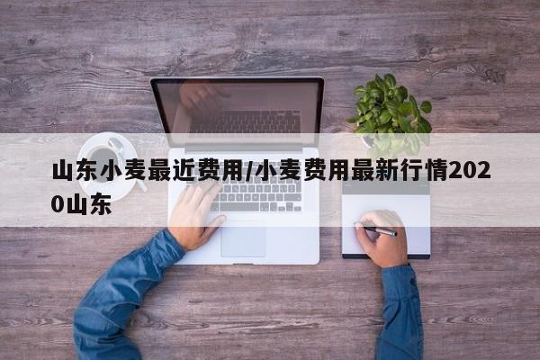 山东小麦最近费用/小麦费用最新行情2020山东