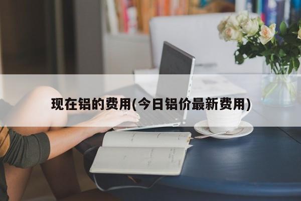 现在铝的费用(今日铝价最新费用)
