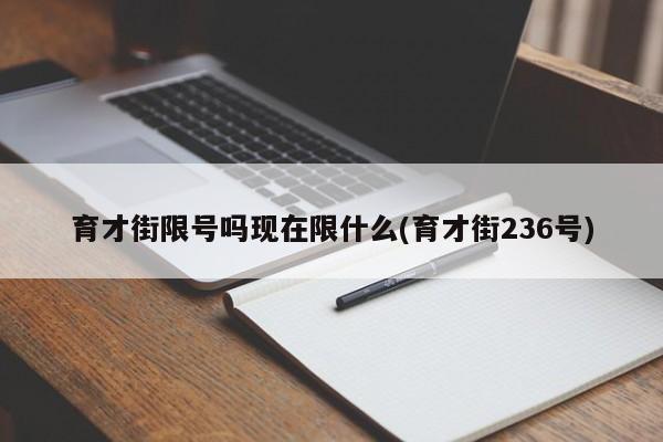 育才街限号吗现在限什么(育才街236号)
