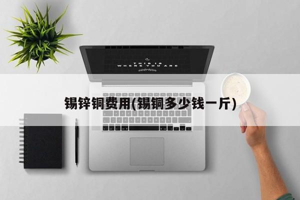 锡锌铜费用(锡铜多少钱一斤)