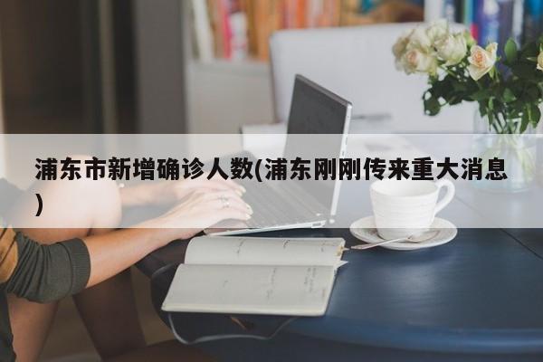 浦东市新增确诊人数(浦东刚刚传来重大消息)