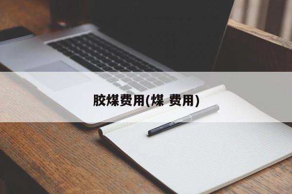 胶煤费用(煤 费用)