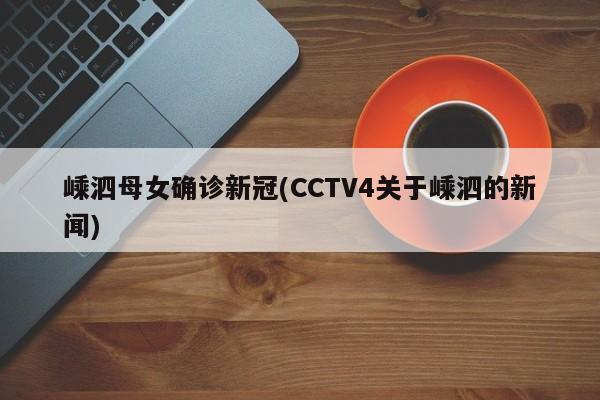 嵊泗母女确诊新冠(CCTV4关于嵊泗的新闻)
