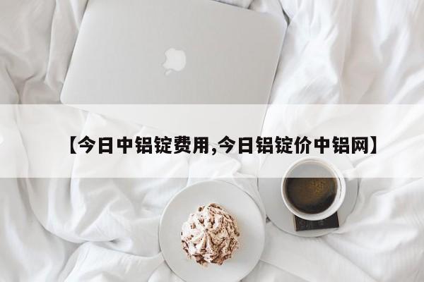 【今日中铝锭费用,今日铝锭价中铝网】