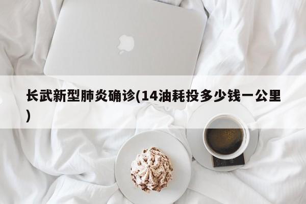 长武新型肺炎确诊(14油耗投多少钱一公里)