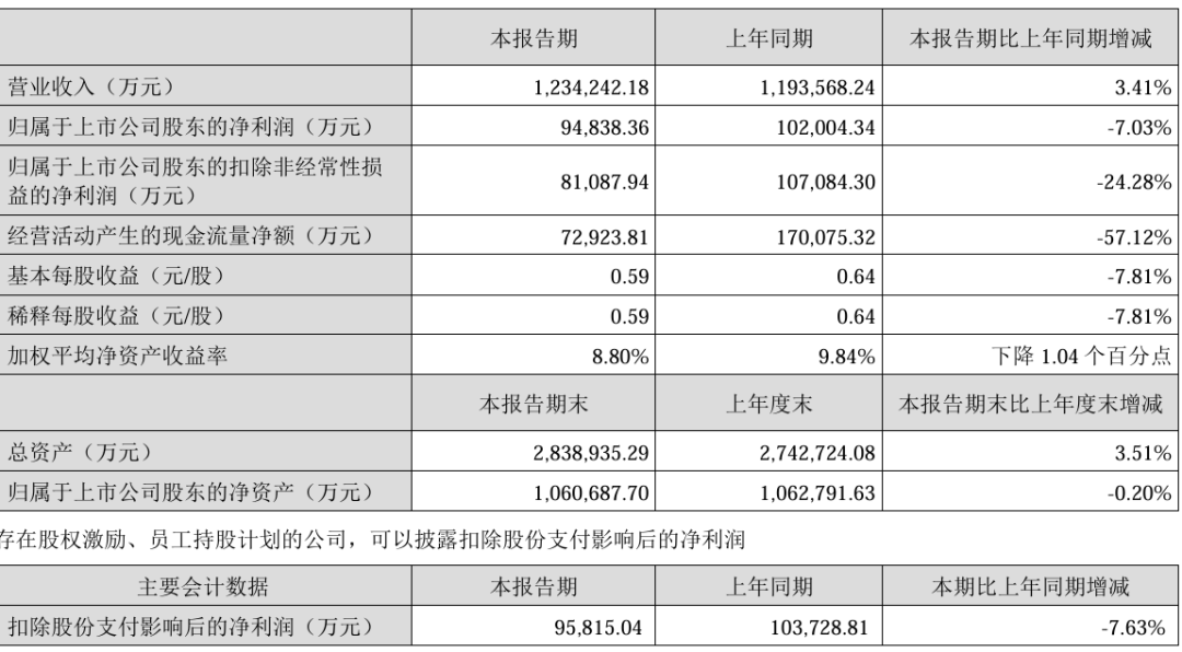 光伏组件企业“盈利王	”:上半年净利9.5亿、出货12GW